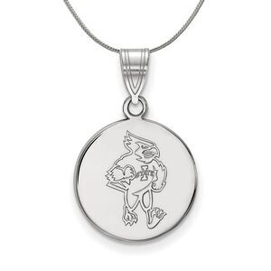 Sterling Silver Iowa State Medium Disc Necklace - 24 Inch